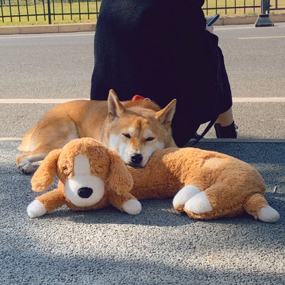 Dog and Cat Heartbeat Toy for Comfort and Behavioral Training - My Pet Serenity