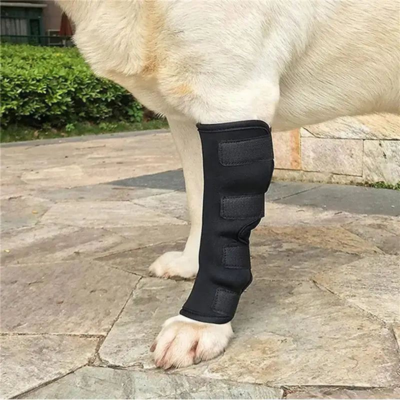 Dog Knee Brace for Hock Joint - Leg Injury Recovery & Mobility (Pair) - My Pet Serenity