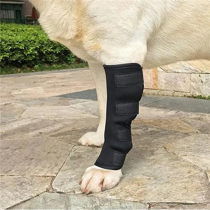Dog Knee Brace for Hock Joint - Leg Injury Recovery & Mobility (Pair) - My Pet Serenity