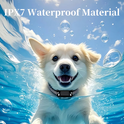 Dog Training Collar 800m Waterproof Rechargeable Remote LCD Display - My Pet Serenity