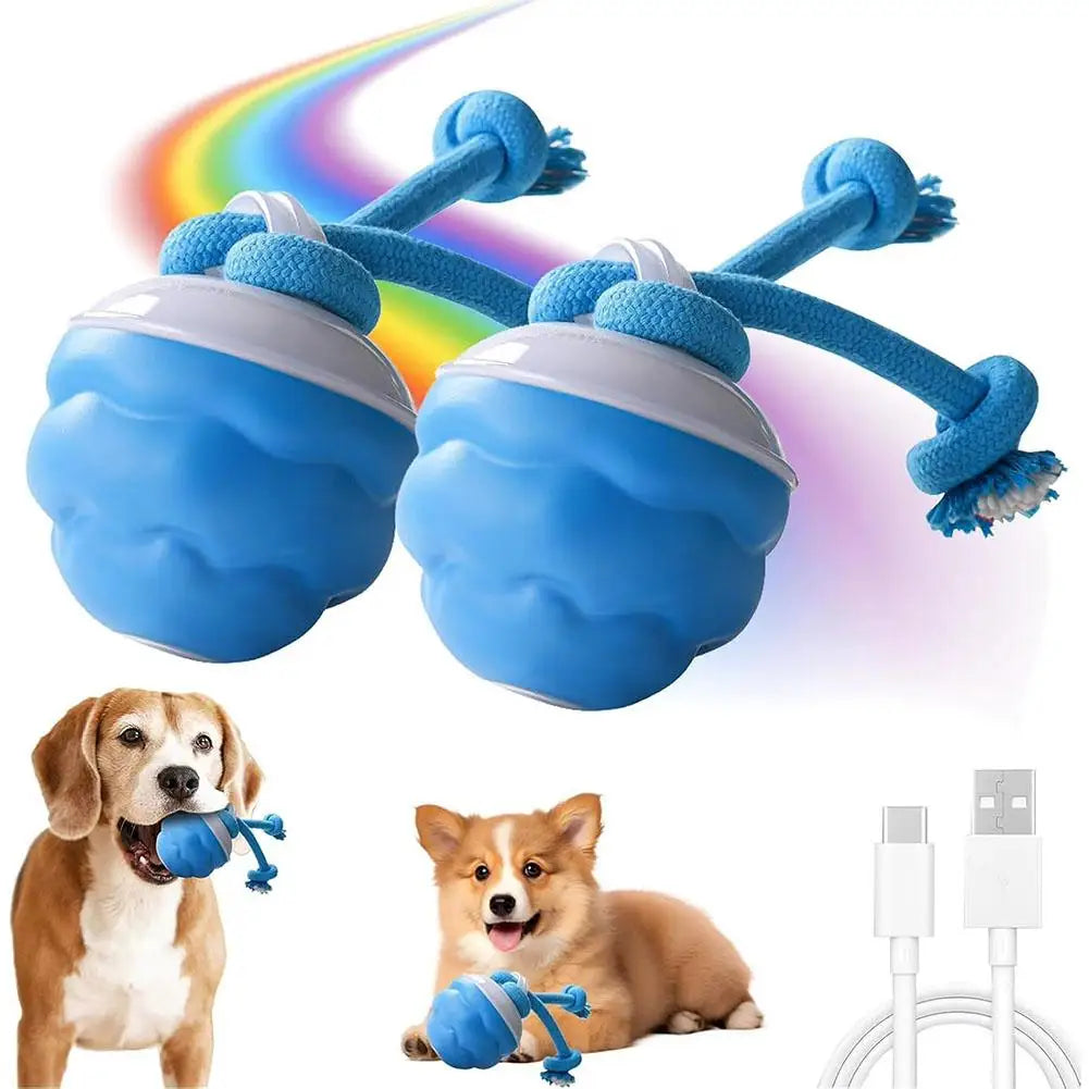 USB Interactive Dog Toy Ball Electronic Moving Ball for Puppies - My Pet Serenity