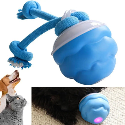 USB Interactive Dog Toy Ball Electronic Moving Ball for Puppies - My Pet Serenity
