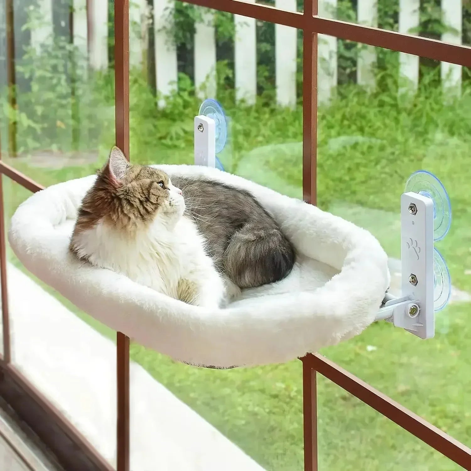 Cat Window Hammock with Suction Cups for Sunlit Window Seat - My Pet Serenity