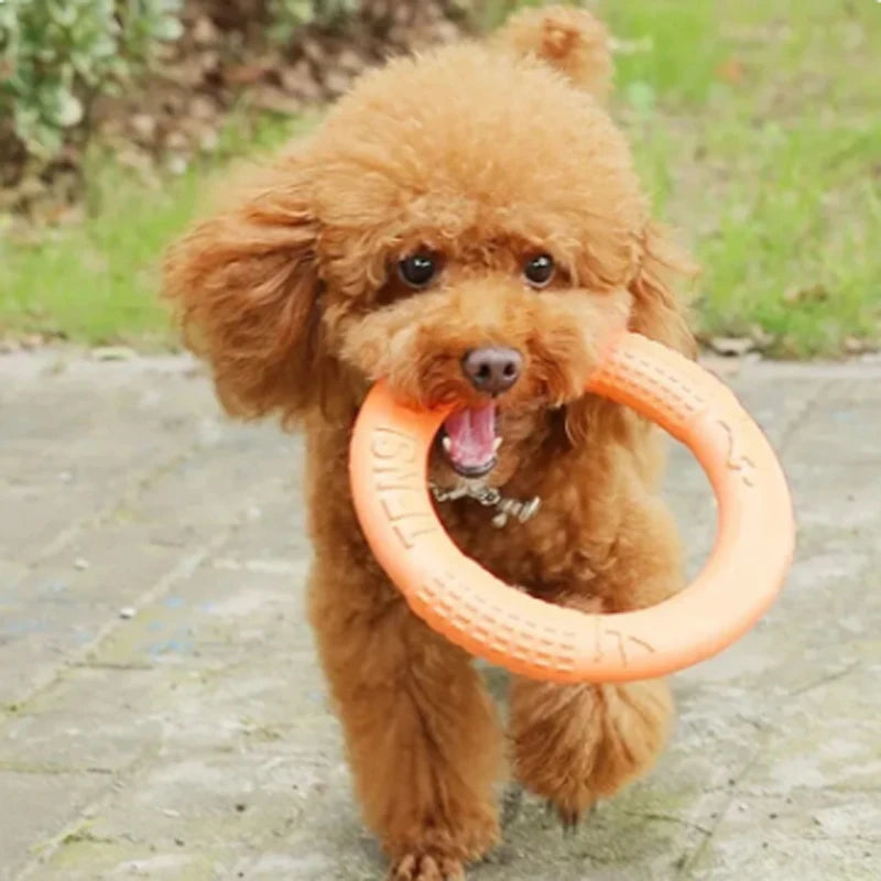 Orange EVA Dog Training Ring & Flying Disk Toy - Interactive Puller - My Pet Serenity