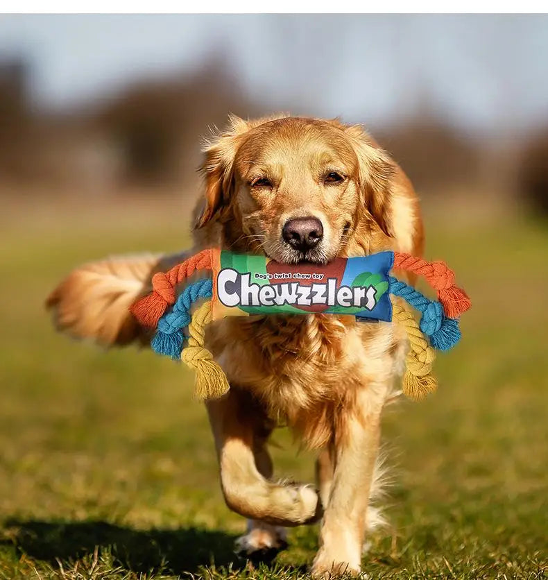 Rainbow Twist Candy Dog Chew Toy with Squeaker - Bite-Resistant - My Pet Serenity