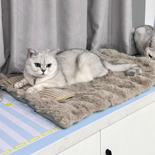 Winter Bubble Fleece Pet Sleeping Pad 50x70cm for Cats and Dogs - My Pet Serenity