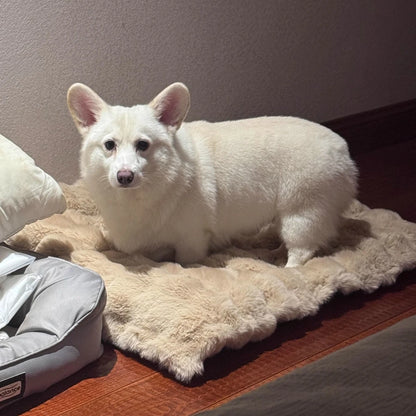 Winter Bubble Fleece Pet Sleeping Pad 50x70cm for Cats and Dogs - My Pet Serenity