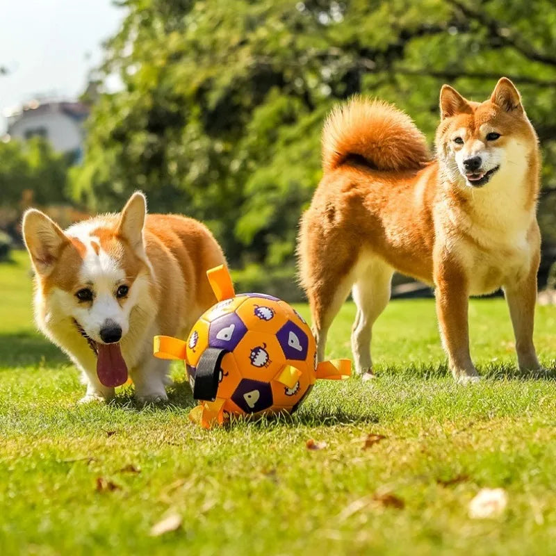 Dog Training Soccer Ball Toy Inflatable Chew-Resistant Squeaky - My Pet Serenity