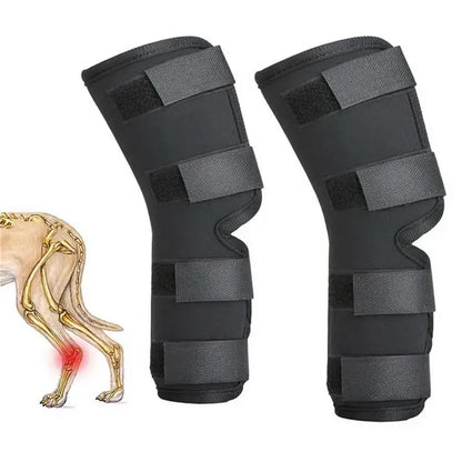 Dog Knee Brace for Hock Joint - Leg Injury Recovery & Mobility (Pair) - My Pet Serenity