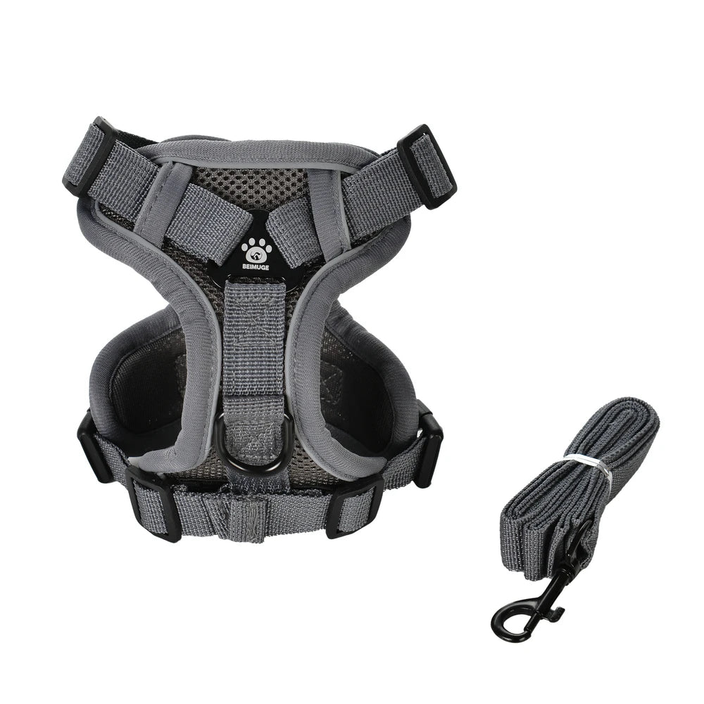 Cat Harness and Leash Set - Escape-Proof, Reflective, Outdoor Walking - My Pet Serenity