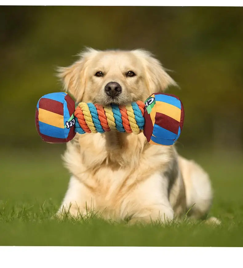 Rainbow Twist Candy Dog Chew Toy with Squeaker - Bite-Resistant - My Pet Serenity