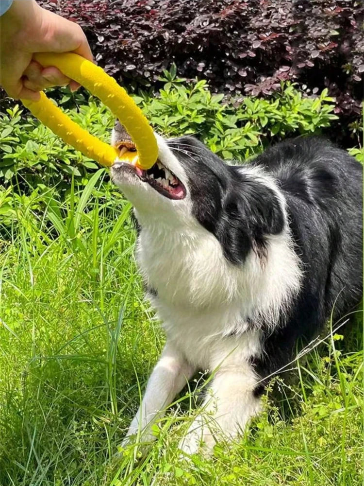 Dog Ring Toy Indestructible Chew Flying Floating Fetch for Dogs - My Pet Serenity