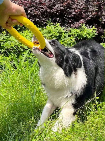 Dog Ring Toy Indestructible Chew Flying Floating Fetch for Dogs - My Pet Serenity