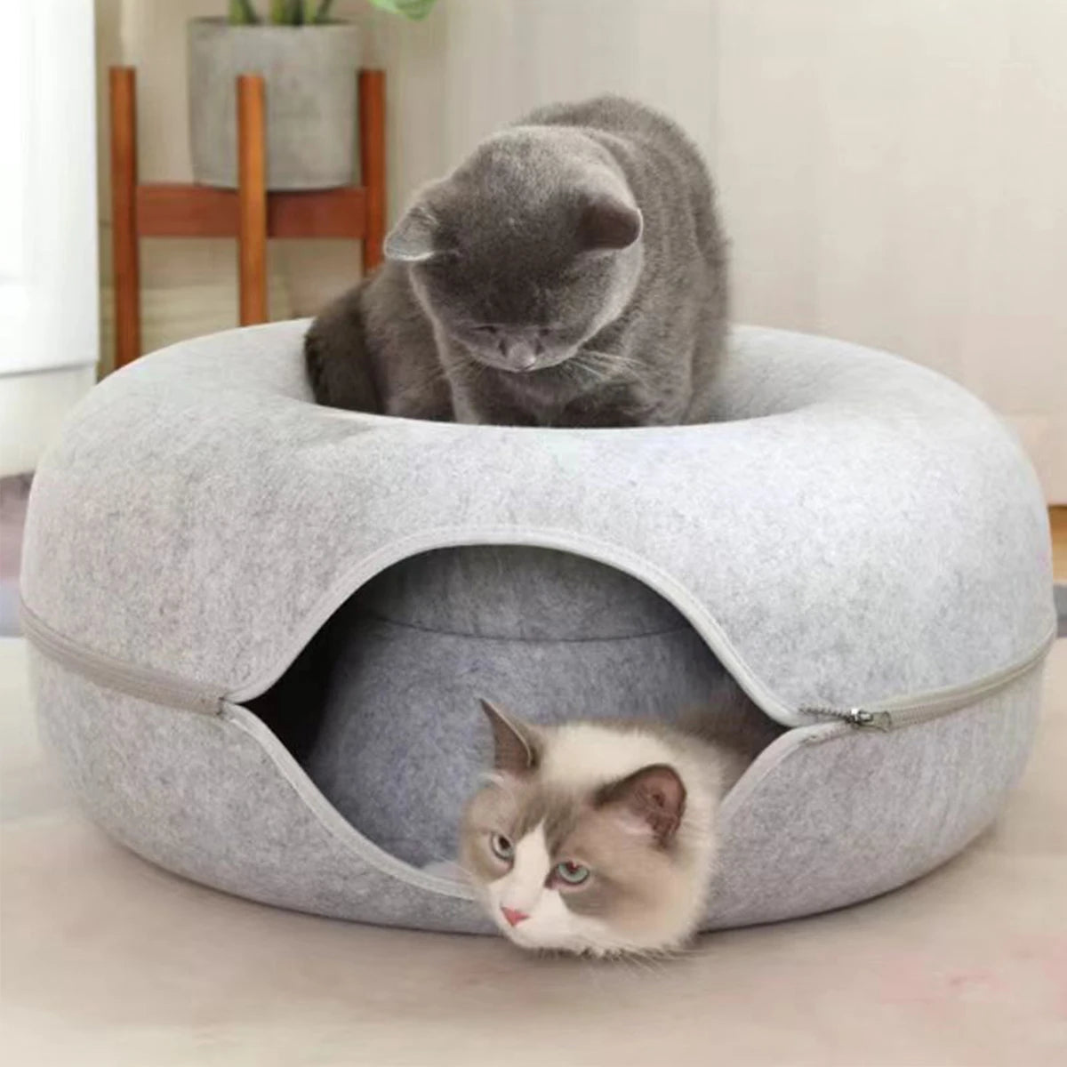 Cat Tunnel Bed - Interactive Felt Indoor Toy for Cats and Kittens - My Pet Serenity