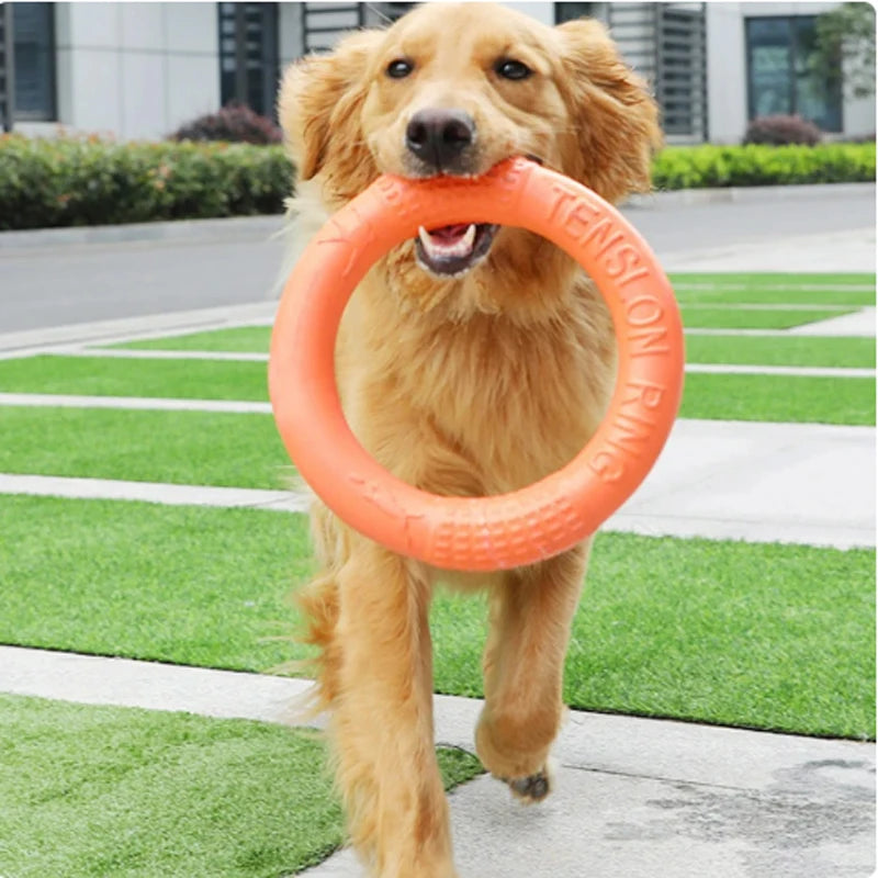Orange EVA Dog Training Ring & Flying Disk Toy - Interactive Puller - My Pet Serenity