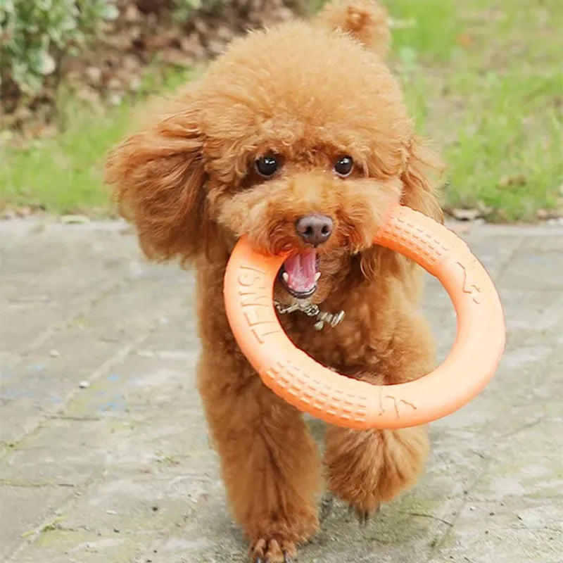 Orange EVA Dog Training Ring & Flying Disk Toy - Interactive Puller - My Pet Serenity