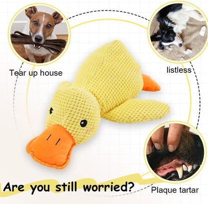 Duck Plush Dog Toy Chew-Resistant Quacking Sound Soft Durable Toy Dogs - My Pet Serenity