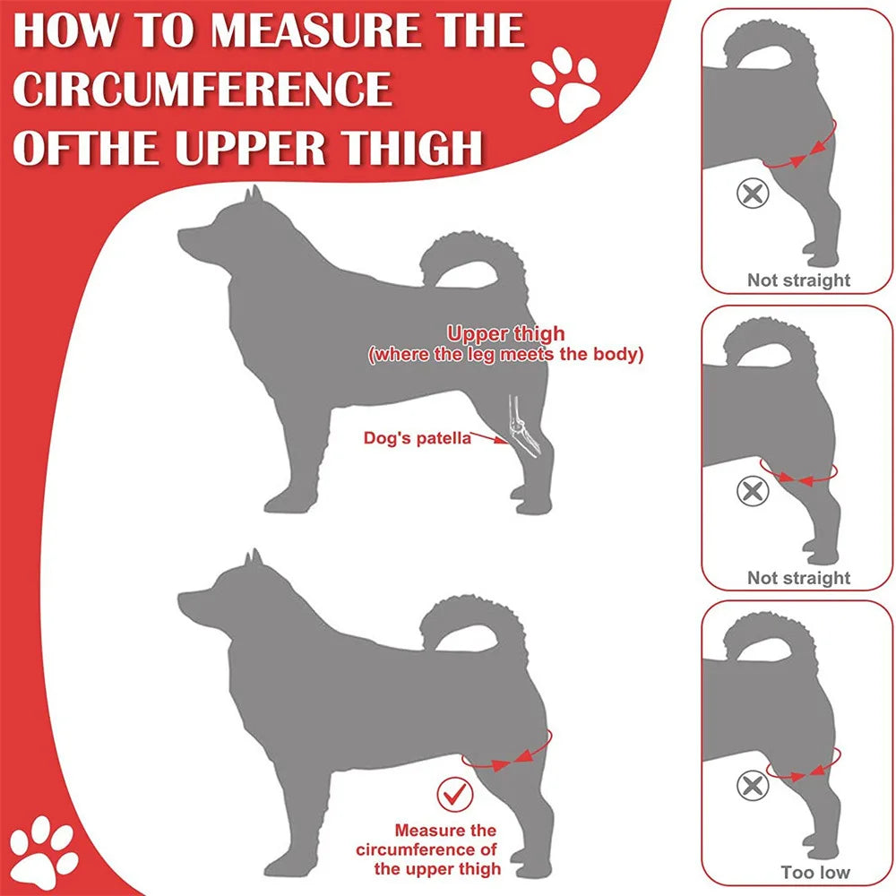 Dog Knee Brace for Joint Pain - Leg Support Injured Elderly Dogs - My Pet Serenity