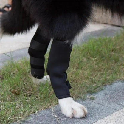 Dog Knee Brace for Hock Joint - Leg Injury Recovery & Mobility (Pair) - My Pet Serenity