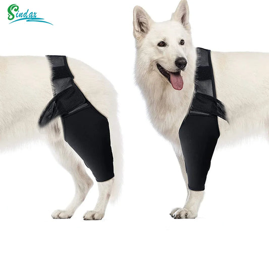 Dog Knee Brace for Joint Pain - Leg Support Injured Elderly Dogs - My Pet Serenity