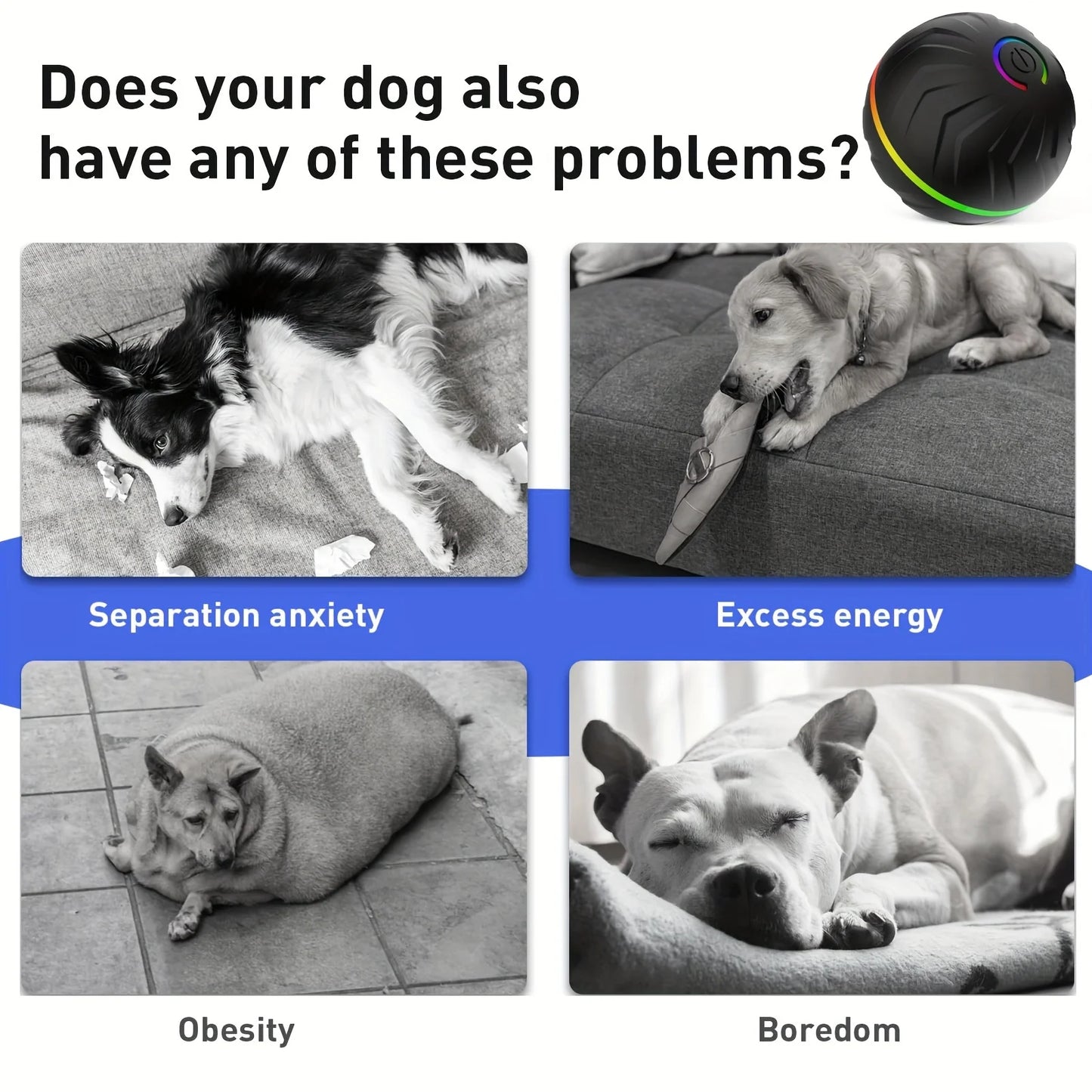 Interactive Dog Toy: Random Rolling, Jumping Lights, 4-Hour Battery - My Pet Serenity
