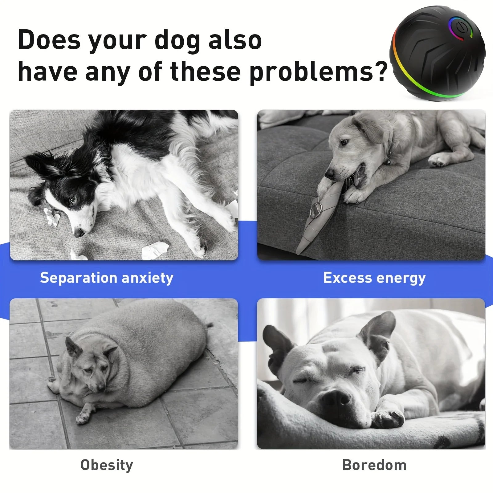 Interactive Dog Toy: Random Rolling, Jumping Lights, 4-Hour Battery - My Pet Serenity