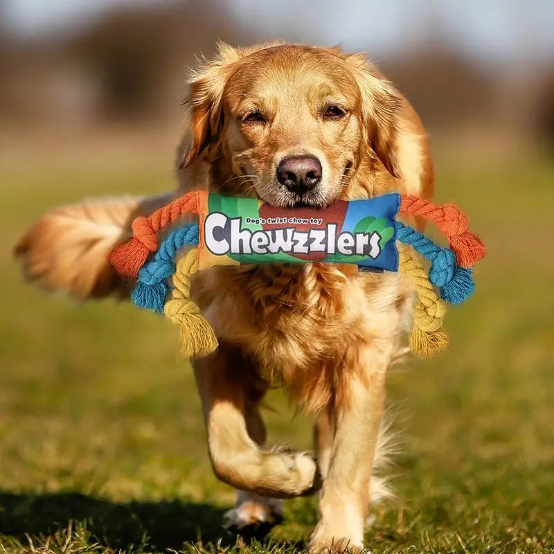 Rainbow Twist Candy Dog Chew Toy with Squeaker - Bite-Resistant - My Pet Serenity