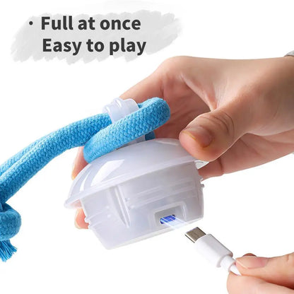 USB Interactive Dog Toy Ball Electronic Moving Ball for Puppies - My Pet Serenity