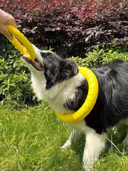 Dog Ring Toy Indestructible Chew Flying Floating Fetch for Dogs - My Pet Serenity