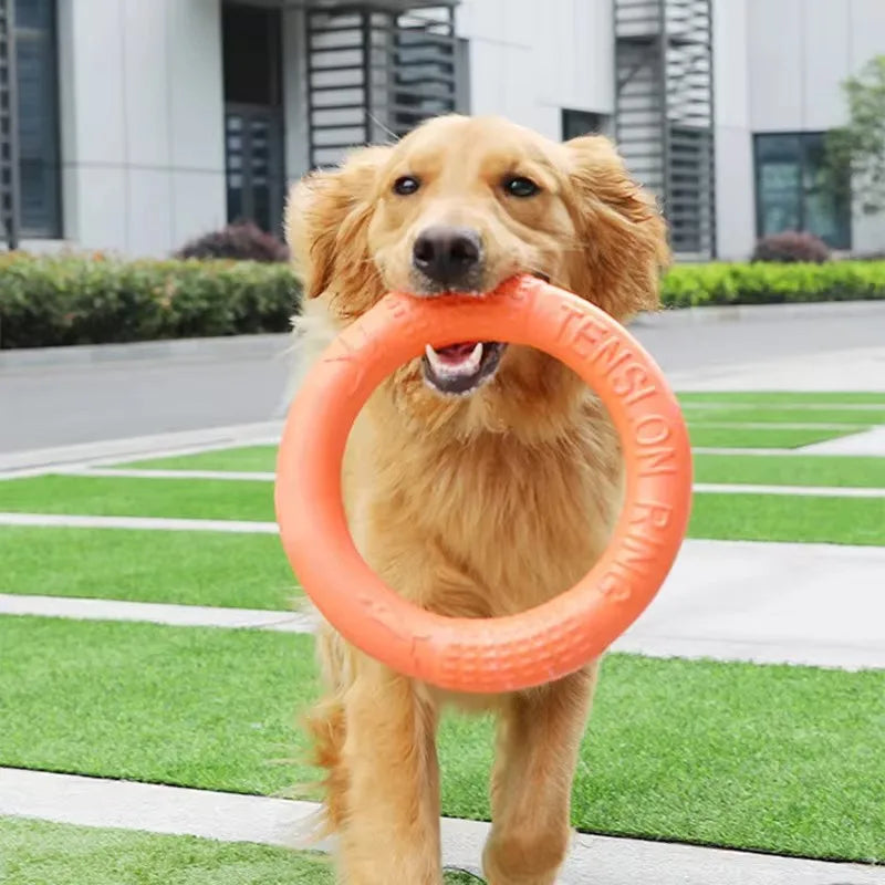 Orange EVA Dog Training Ring & Flying Disk Toy - Interactive Puller - My Pet Serenity