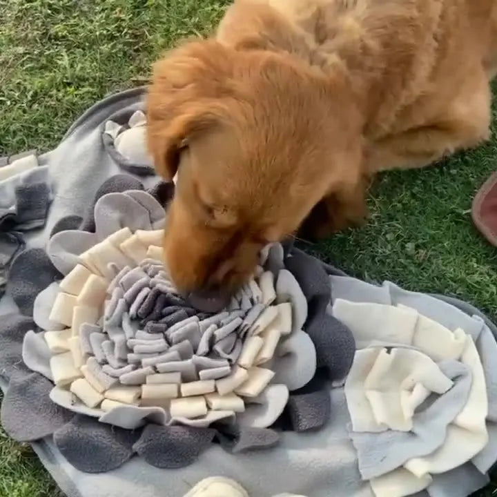 Snuffle Mat for Small/Medium Dogs - Soft Fleece, Squeaky Toy, SlowFeed - My Pet Serenity