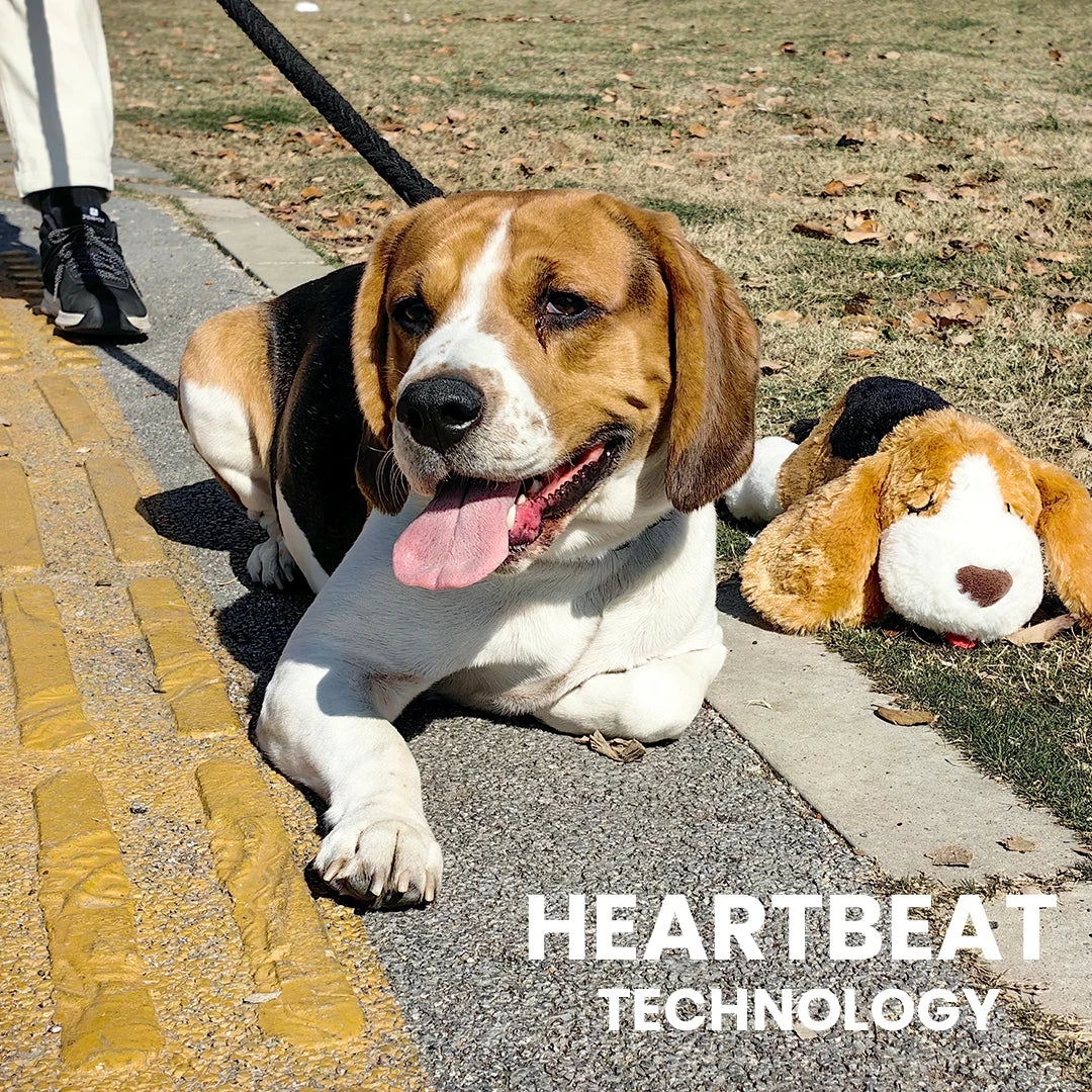 Puppy Heartbeat Toy with Squeaky Chew for Crates and Kennels Sleep Aid - My Pet Serenity