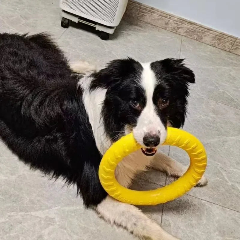 Dog Ring Toy Indestructible Chew Flying Floating Fetch for Dogs - My Pet Serenity