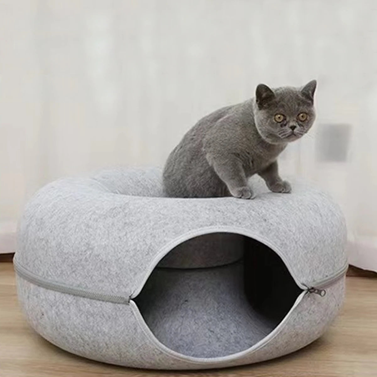 Cat Tunnel Bed - Interactive Felt Indoor Toy for Cats and Kittens - My Pet Serenity