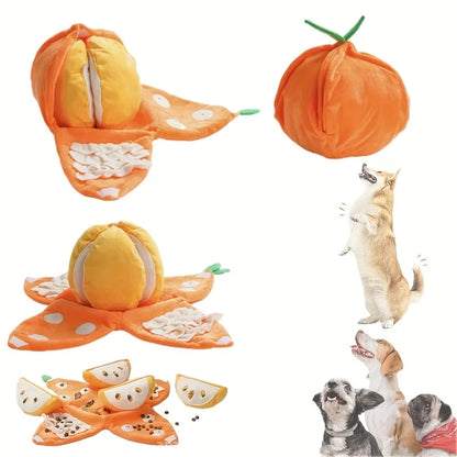 Orange hide-and-seek plush dog toy with squeaker and crinkle puzzle - My Pet Serenity