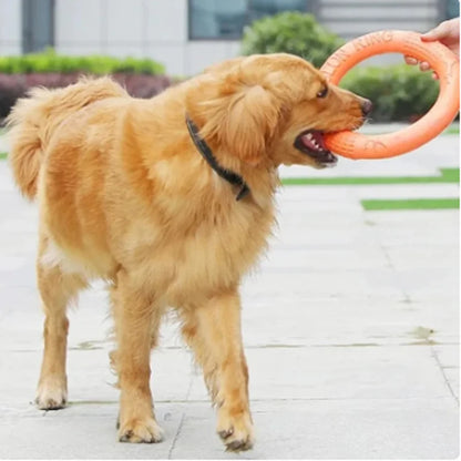 Orange EVA Dog Training Ring & Flying Disk Toy - Interactive Puller - My Pet Serenity
