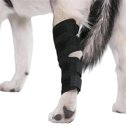 Dog Knee Brace for Hock Joint - Leg Injury Recovery & Mobility (Pair) - My Pet Serenity
