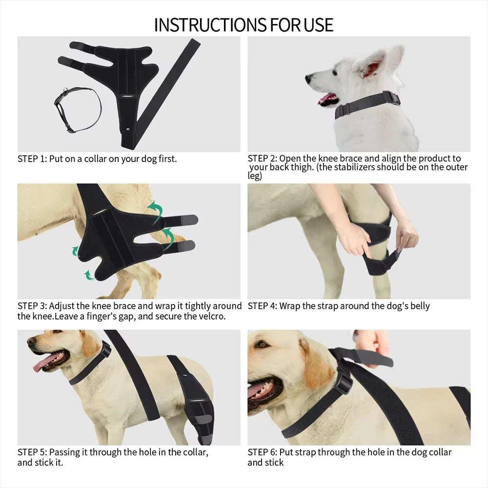 Dog Knee Brace for Joint Pain - Leg Support Injured Elderly Dogs - My Pet Serenity
