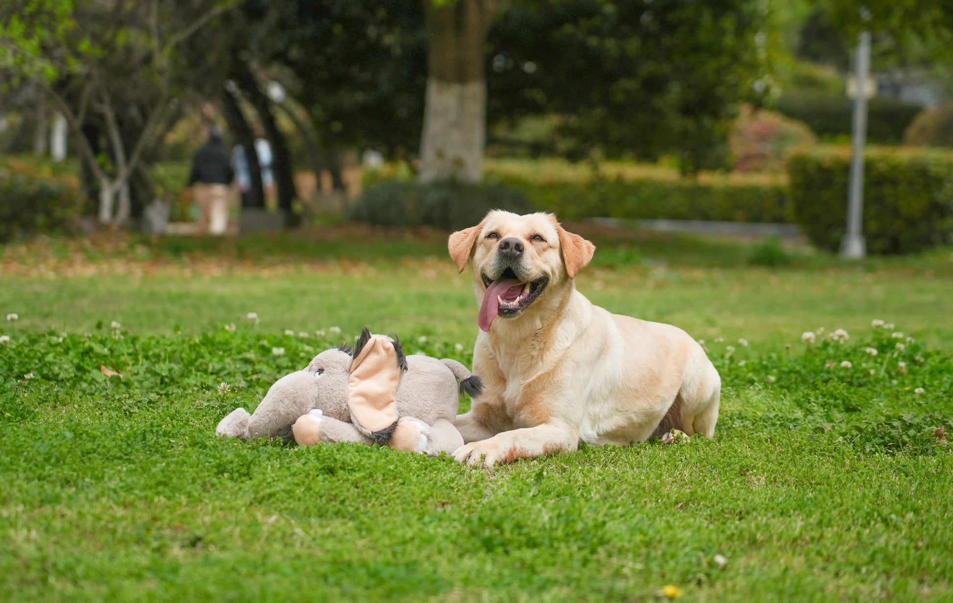 Mammoth Puppy Heartbeat Stuffed Toy for Anxiety Relief - My Pet Serenity