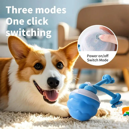 USB Interactive Dog Toy Ball Electronic Moving Ball for Puppies - My Pet Serenity