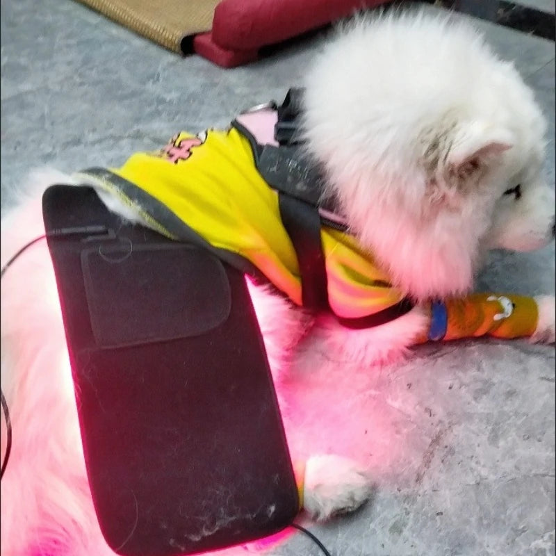 Handheld 660nm Red/NIR Laser Therapy for Pets and Humans Pain Relief - My Pet Serenity