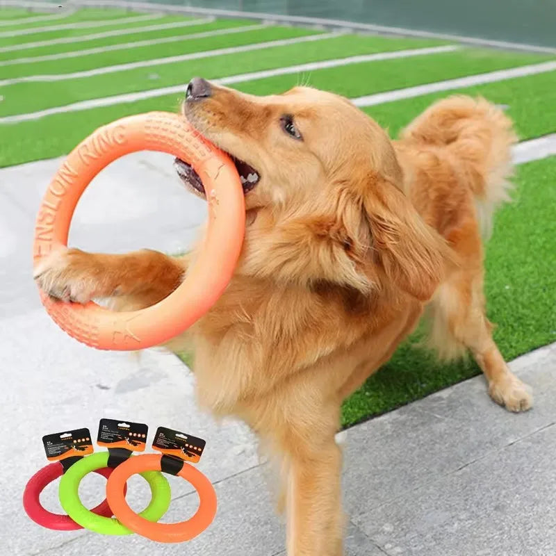 Orange EVA Dog Training Ring & Flying Disk Toy - Interactive Puller - My Pet Serenity