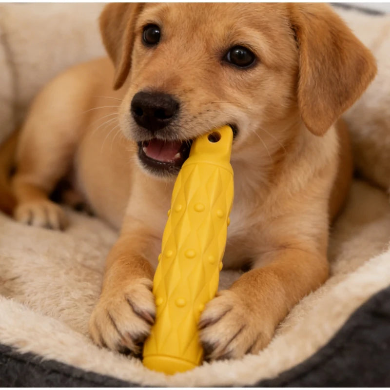 Durable EVA Dog Chew Toy for Large Breeds - Indestructible Safe - My Pet Serenity