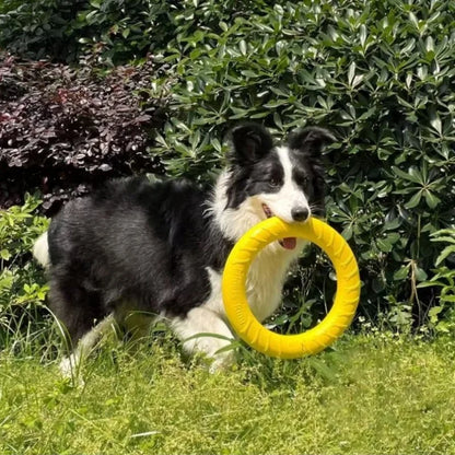 Dog Ring Toy Indestructible Chew Flying Floating Fetch for Dogs - My Pet Serenity