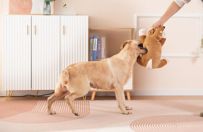 Dog Heartbeat Stuffed Toy for Puppies - Stress Relief & Calming Aid - My Pet Serenity