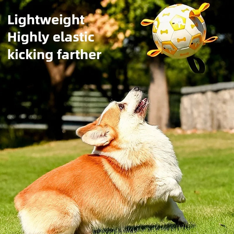 Dog Training Soccer Ball Toy Inflatable Chew-Resistant Squeaky - My Pet Serenity