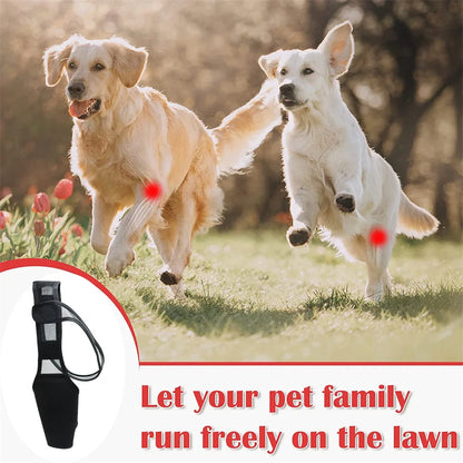 Dog Knee Brace for Joint Pain - Leg Support Injured Elderly Dogs - My Pet Serenity