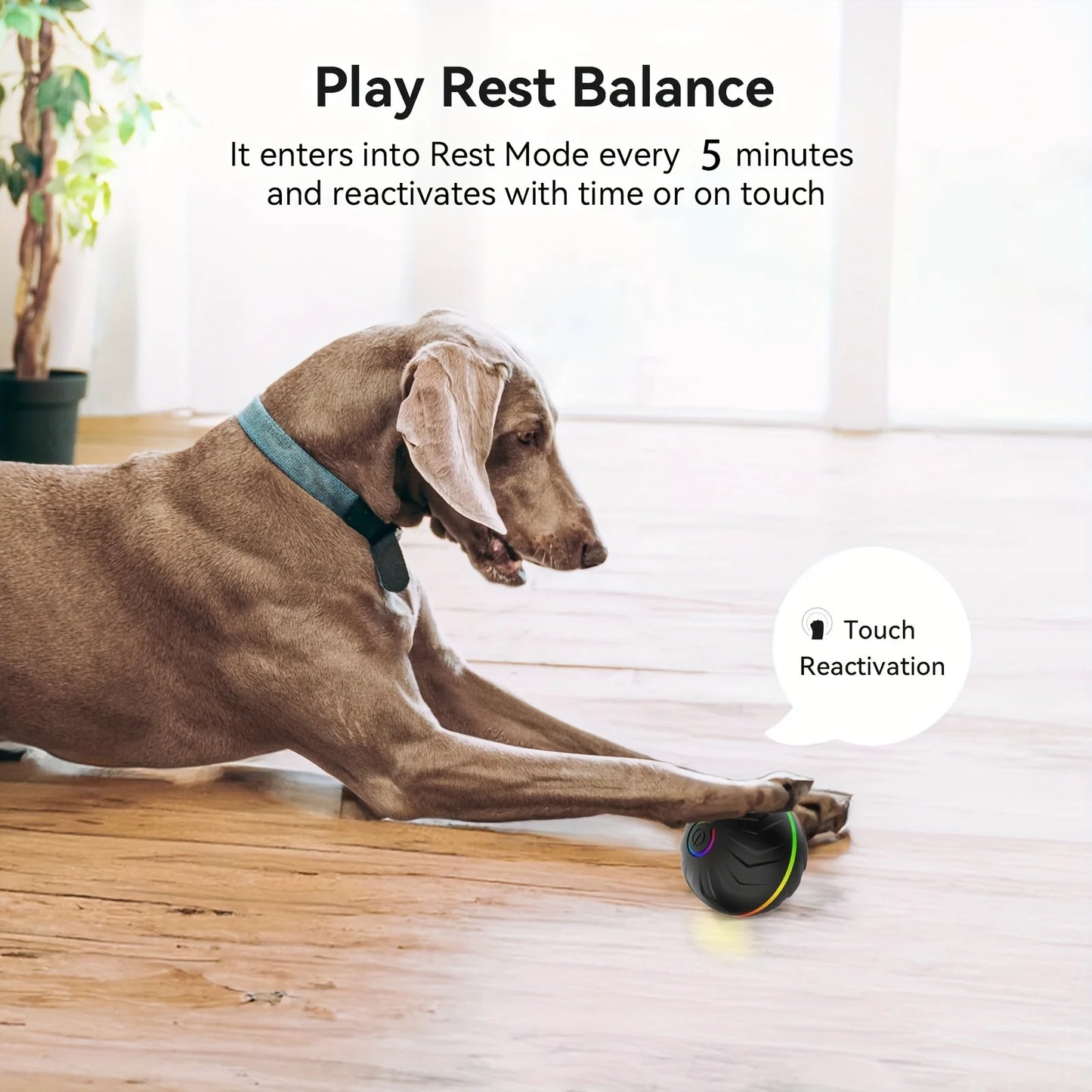 Interactive Dog Toy: Random Rolling, Jumping Lights, 4-Hour Battery - My Pet Serenity