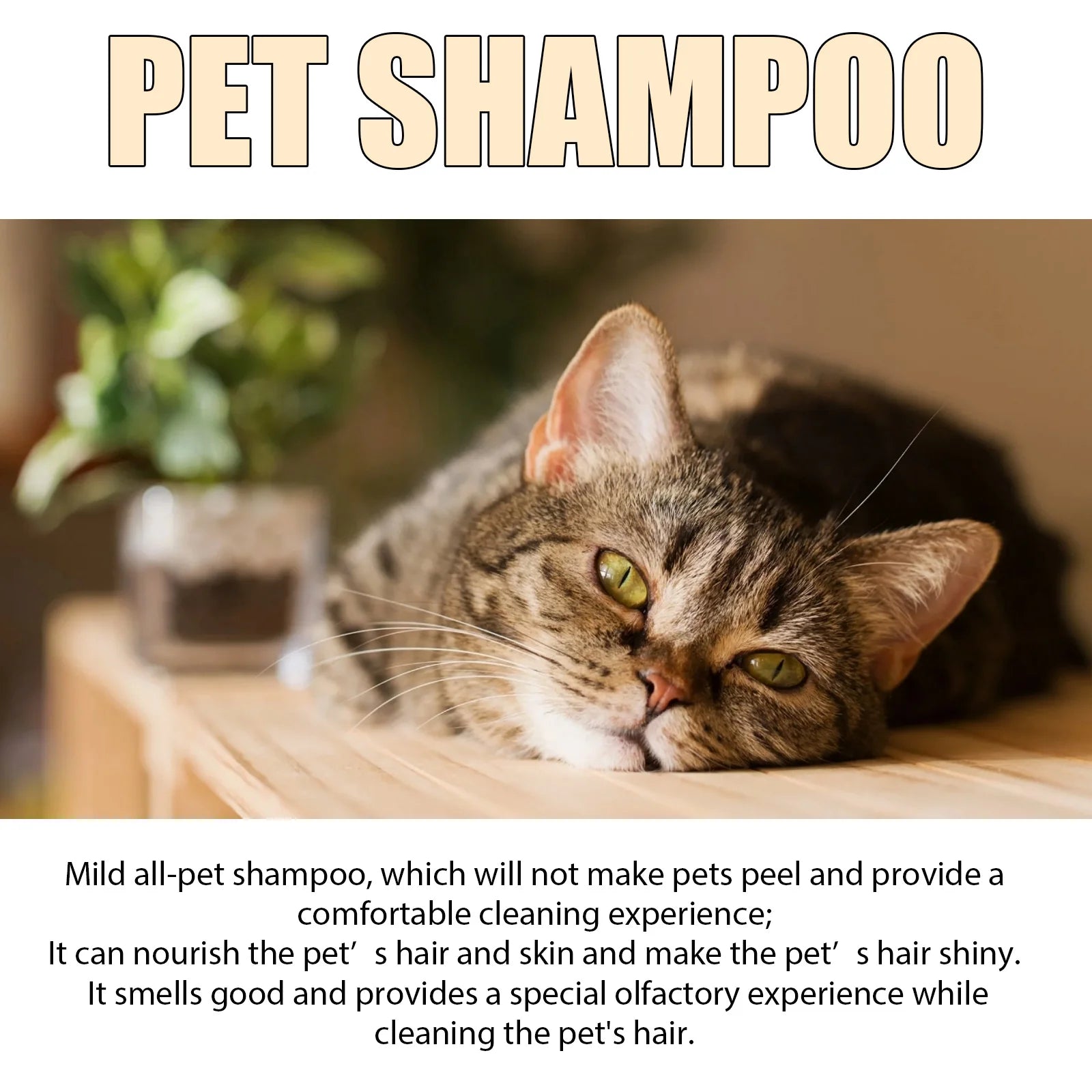 Dog Shampoo for Fleas, Mites, Itch Relief, Moisturizing Deodorizing - My Pet Serenity
