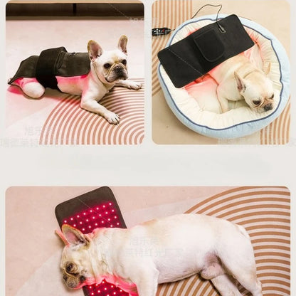 Handheld 660nm Red/NIR Laser Therapy for Pets and Humans Pain Relief - My Pet Serenity